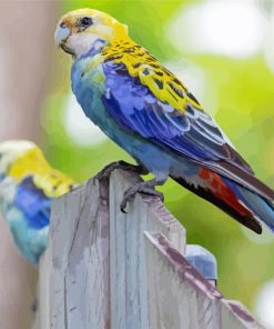 Australian King Parrot Diamond Painting