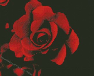 Black And Red Rose Diamond Painting