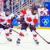 Canada Hockey Diamond Painting
