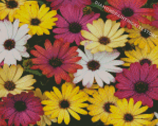 Colorful Mixed Daisies Diamond Painting