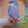 Diamond Firetail Finch Bird Diamond Painting