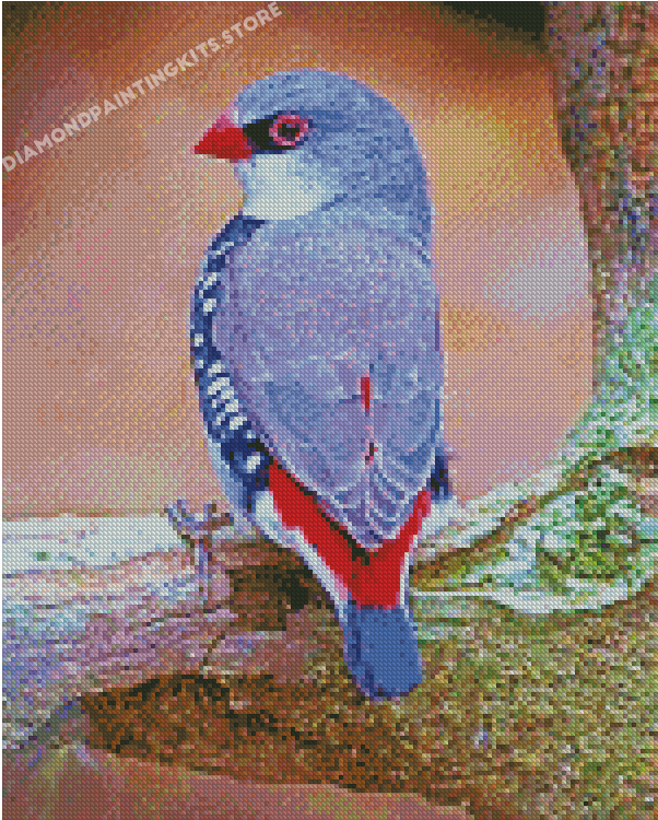 Diamond Firetail Finch Bird Diamond Painting