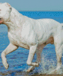 Dogo Argentino In Beach Diamond Painting