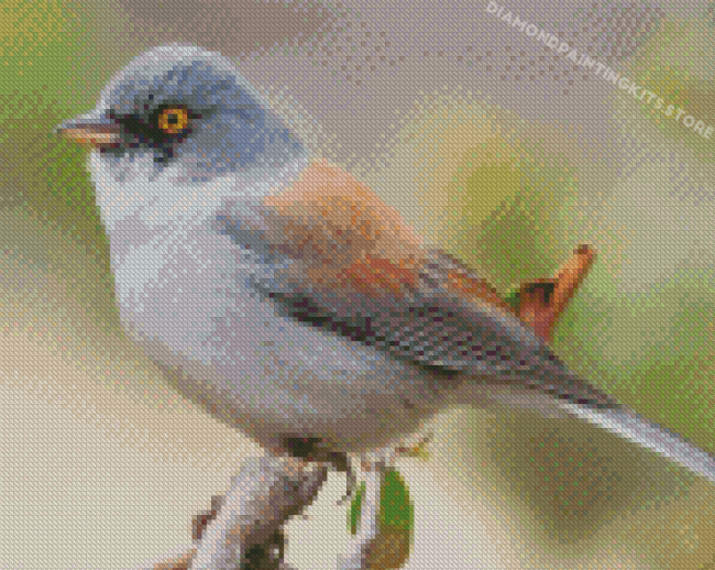 Junco Bird Diamond Painting