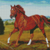 Secretariat Horse Art Diamond Painting
