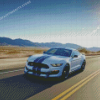 Shelby GT 350 On Road Diamond Painting