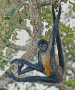 Spider Monkey On Tree Diamond Painting