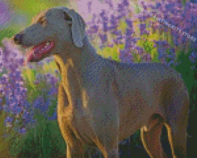 Weimaraner Dog Animal Diamond Painting