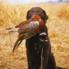 Pheasant Hunting Dog Diamond Painting