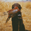 Pheasant Hunting Dog Diamond Painting
