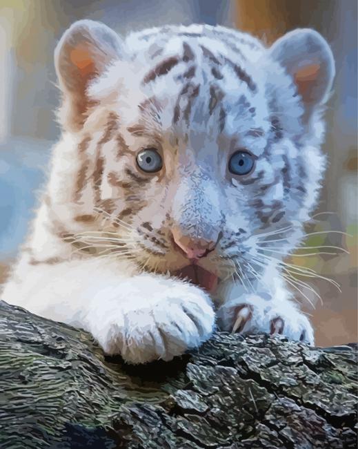 White Baby Tiger Diamond Painting