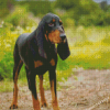 Black And Tan Coonhound Animal Diamond Painting