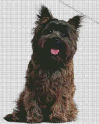 Black Cairn Terrier Diamond Painting