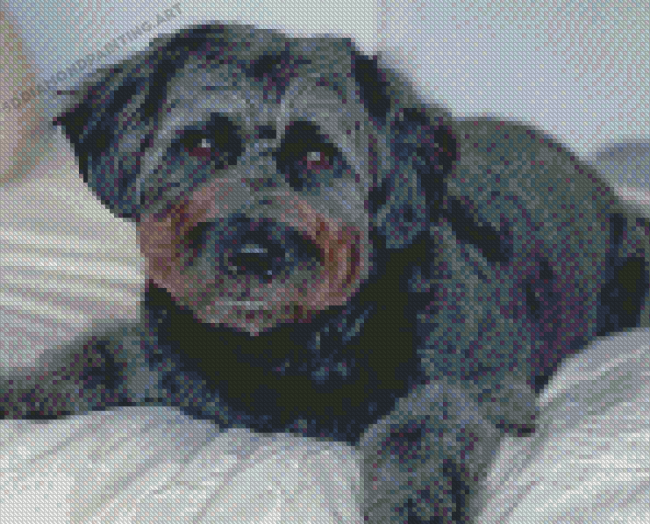 Black Goldendoodle Dog Diamond Painting