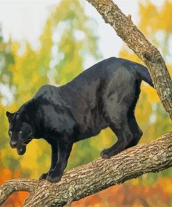 Black Jaguar Animal Diamond Painting