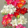 Blooming Freesia Flowers Diamond Painting