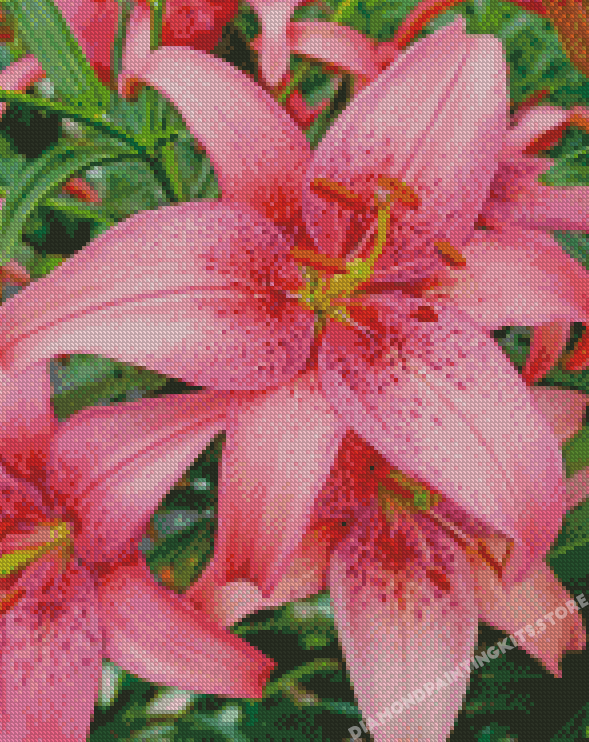 Blooming Pink Lily Diamond Painting