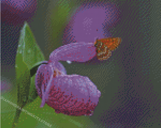 Butterfly On Lady Slipper Flower Diamond Painting