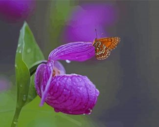 Butterfly On Lady Slipper Flower Diamond Painting