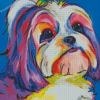 Colorful Shih Tzu Dog Animal Diamond Painting