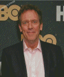English Actor Hugh Laurie Diamond Painting