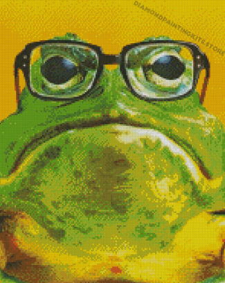 Frog In Glasses Diamond Painting