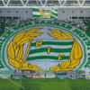 Hammarby Fotboll Diamond Painting