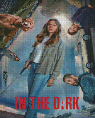 In The Dark Movie Poster Diamond Painting