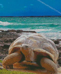 Ocean Aldabra Tortoise Diamond Painting