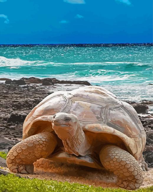 Ocean Aldabra Tortoise Diamond Painting