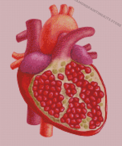 Pomegranate Heart Diamond Painting