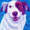 Red And White Border Collie Dog Art Diamond Painting
