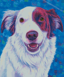 Red And White Border Collie Dog Art Diamond Painting
