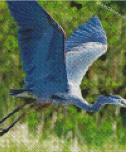 Flying Blue Crane Diamond Painting