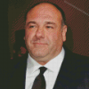 The American Actor James Gandolfini Diamond Painting