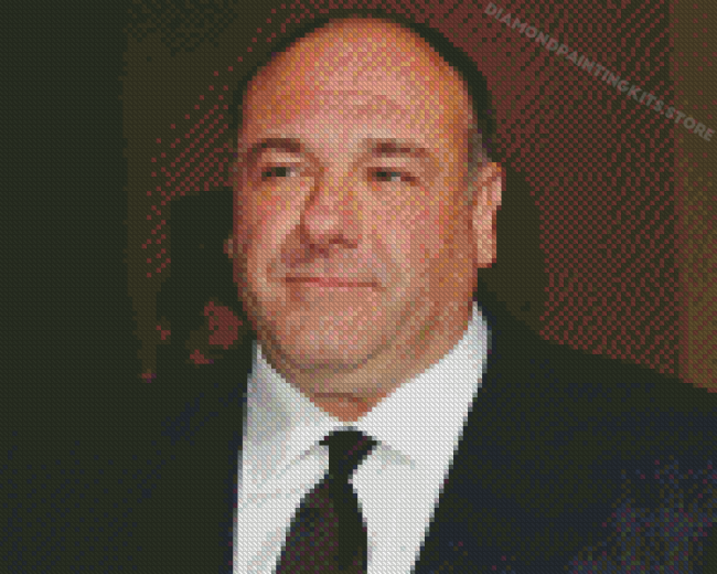 The American Actor James Gandolfini Diamond Painting