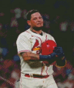 The Baseball Player Yadier Molina Diamond Painting
