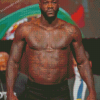 The Professional Boxer Deontay Wilder Diamond Painting