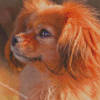 Tibetan Spaniel Dog Diamond Painting