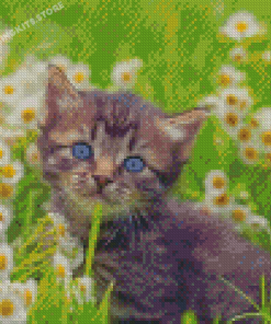 Aesthetic Cat And White Flowers Diamond Painting
