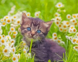 Aesthetic Cat And White Flowers Diamond Painting