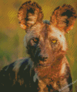 Cool African Hunting Dog Diamond Painting