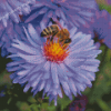 Cool Bee On Purple Flower Diamond Painting