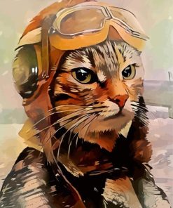 Cool Pilot Cat Diamond Painting