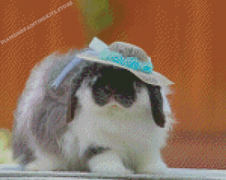 Cute Rabbit With Hat Diamond Painting