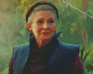 Old Carrie Fisher Diamond Painting