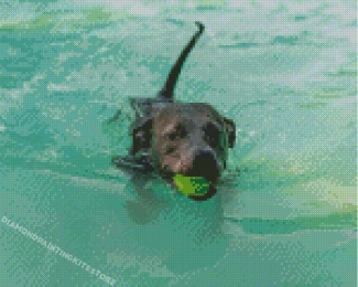 Cool Black Dog Swimming Diamond Painting