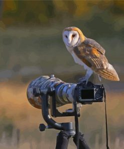 Owl Bird And Camera Diamond Painting
