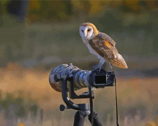 Owl Bird And Camera Diamond Painting