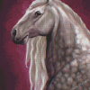 Percheron Horse Art Diamond Painting